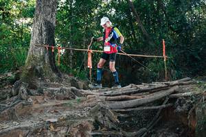 BIB: 
                            <button type="button" onclick="openModal(27756209)" class="btn btn-primary btn-sm float-right btn-popup" data-toggle="modal" data-target=".modal-high-quality">
                        <i class="fas fa-shopping-cart"></i> Add to Cart
                    </button>
                                            <button type="button" onclick="isThisMe(27756209, true)" class="btn btn-success btn-sm float-right btn-popup btn-isme hidden" data-toggle="tooltip" data-placement="bottom" title="นี่คือรูปของคุณใช่ไหม คลิกที่นี่เพื่อเอาเข้าอัลบั้ม">
                        <i class="fas fa-plus"></i> Add to album
                    </button>
                    <button type="button" onclick="isThisMe(27756209, false)" class="btn btn-warning btn-sm float-right btn-popup btn-isnotme hidden">
                        <i class="fas fa-ban"></i> Remove from album
                    </button>